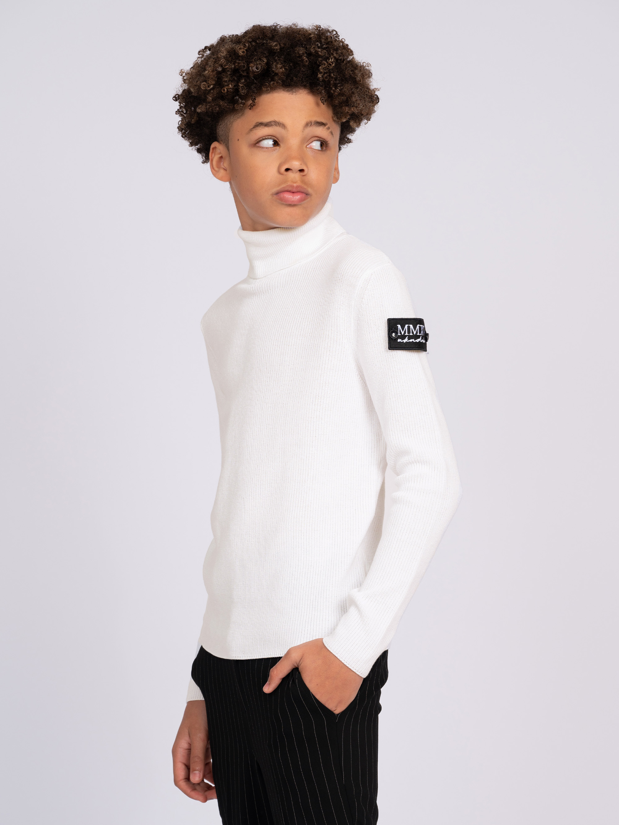 Sweater with turtleneck and logo on the sleeve