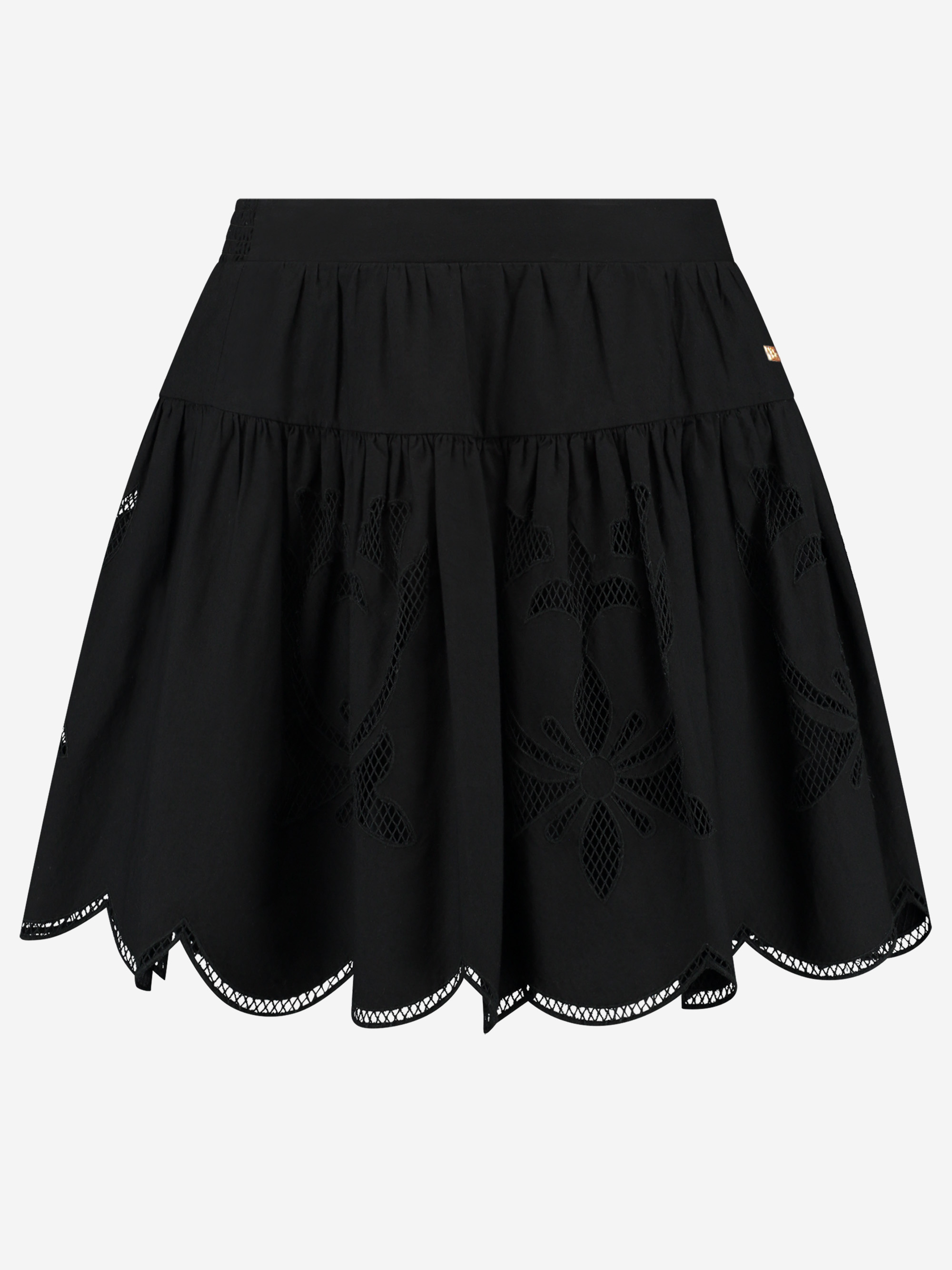 Skirt with embroidery